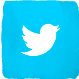 twitter-icon